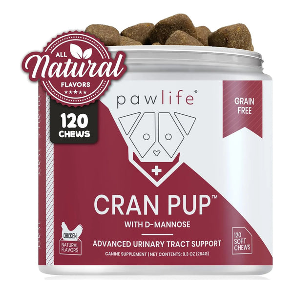 Masticables Suaves De Arándano Para Perros Apoyo Urinario Y Vejiga 120 Unidades