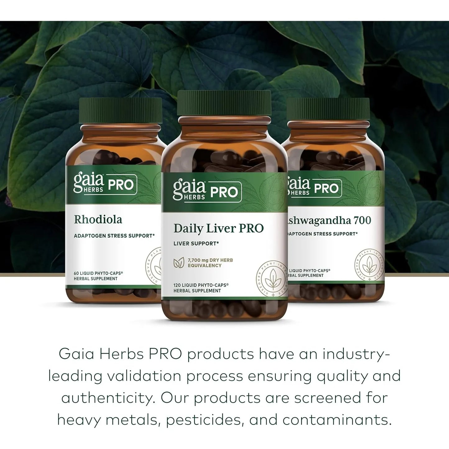 Gaia Herbs Pro Daily Liver Pro Suplemento Hepatico Natural 120 Capsulas