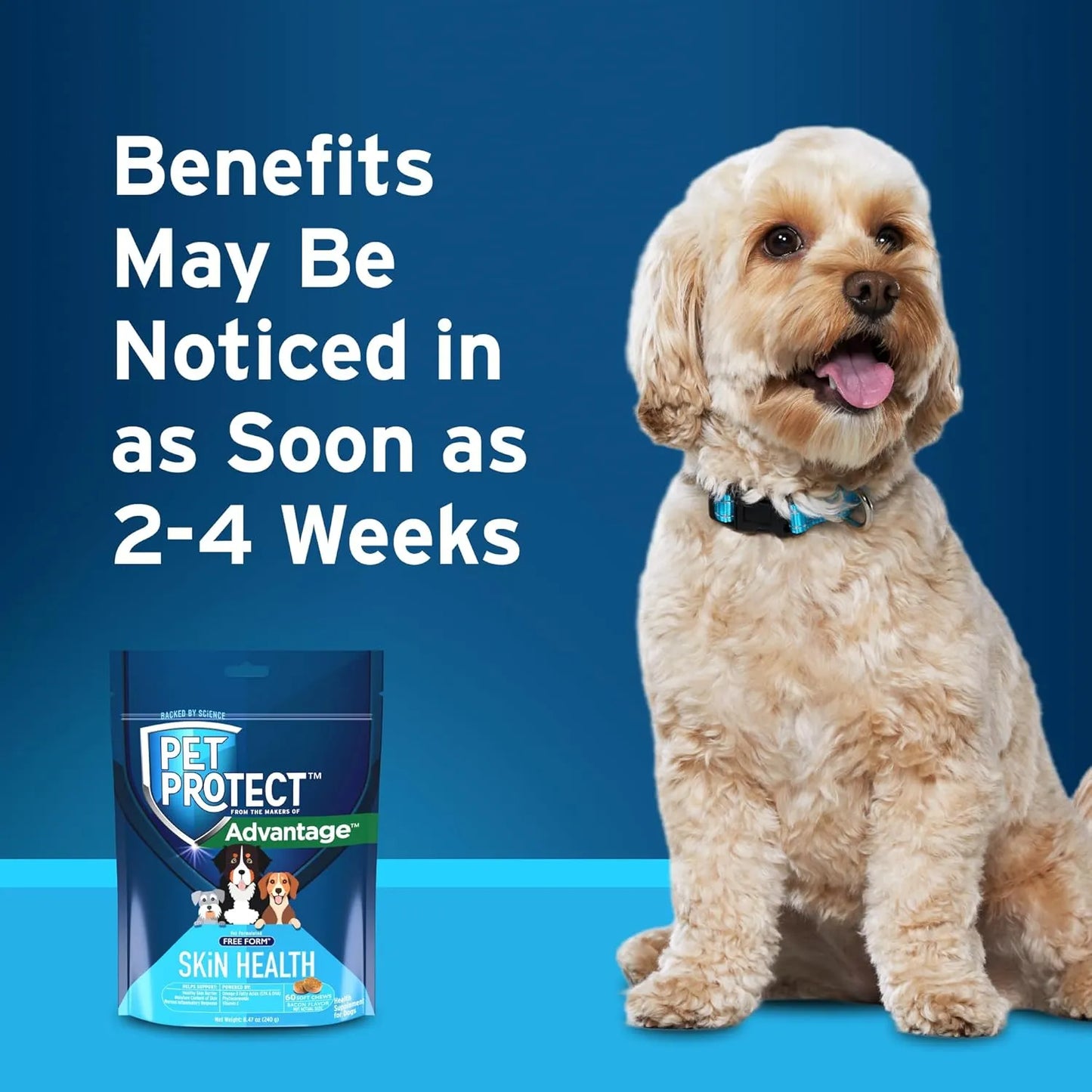 Pet Protect 60 Capsulas Piel Saludable Mascotas Omega 3 Fitoceramidas