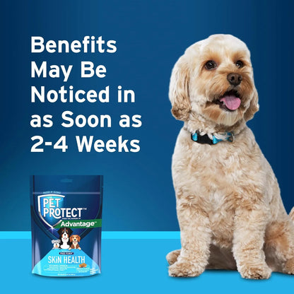 Pet Protect 60 Capsulas Piel Saludable Mascotas Omega 3 Fitoceramidas