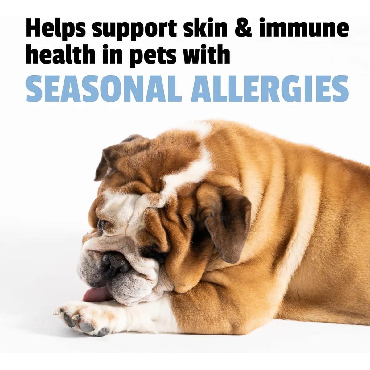 Suplemento Allergy Plus Masticable Suave Para Perros Sabor Premium Alivia Alergias