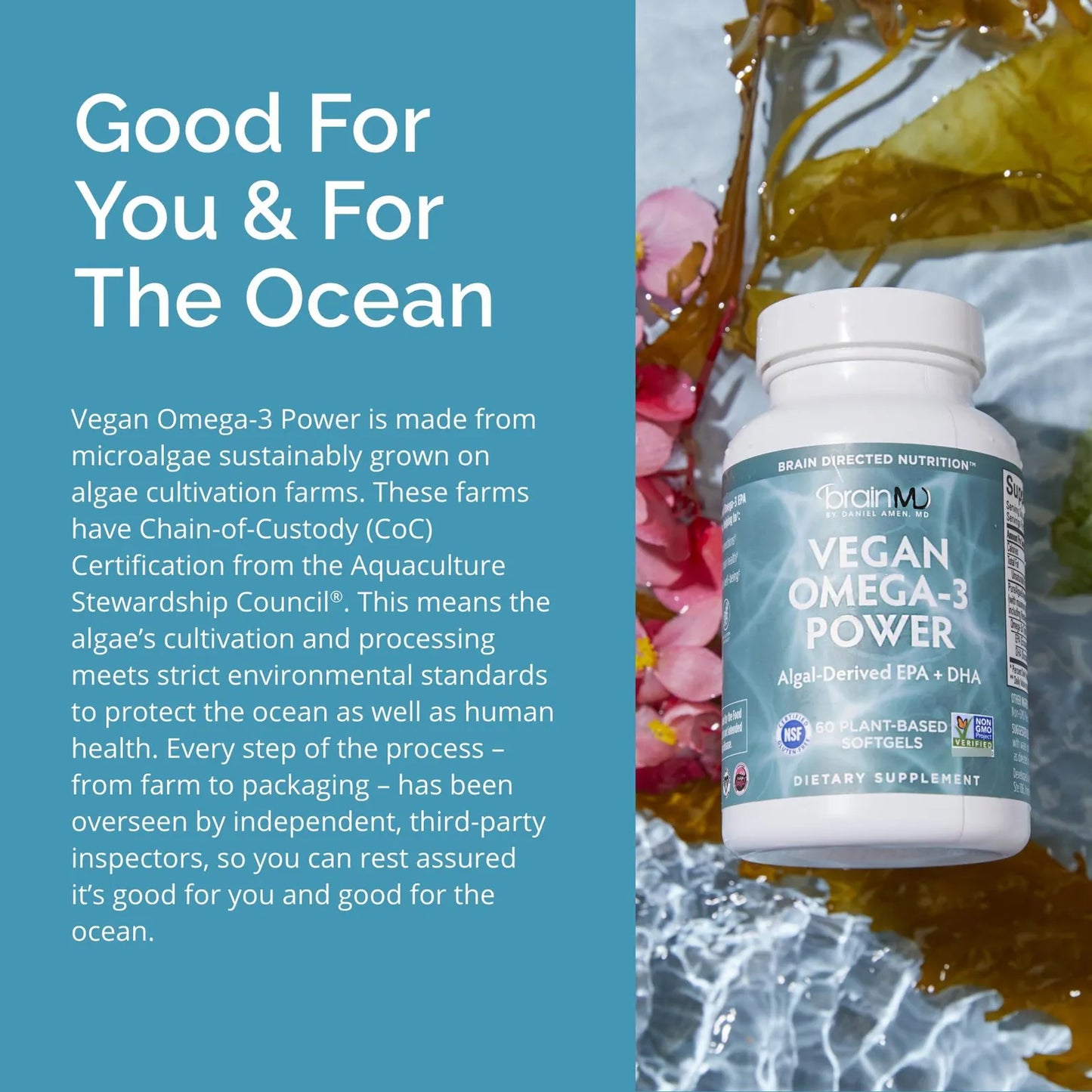 Dr Amen Vegan Omega 3 Power 60 Capsulas Blandas 1100 Mg Epa Dha Concentracion Memoria Corazon