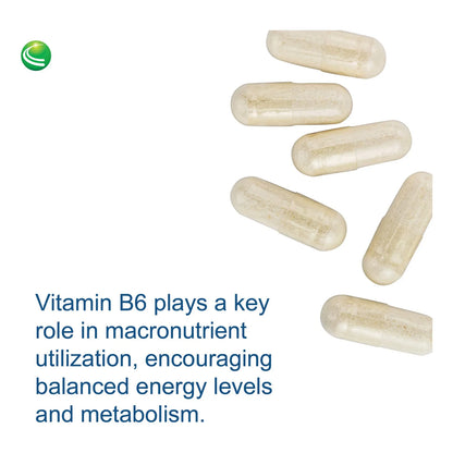 Factores De Estres Vitamina B6 Litio Gaba 60 Capsulas Salud Mental