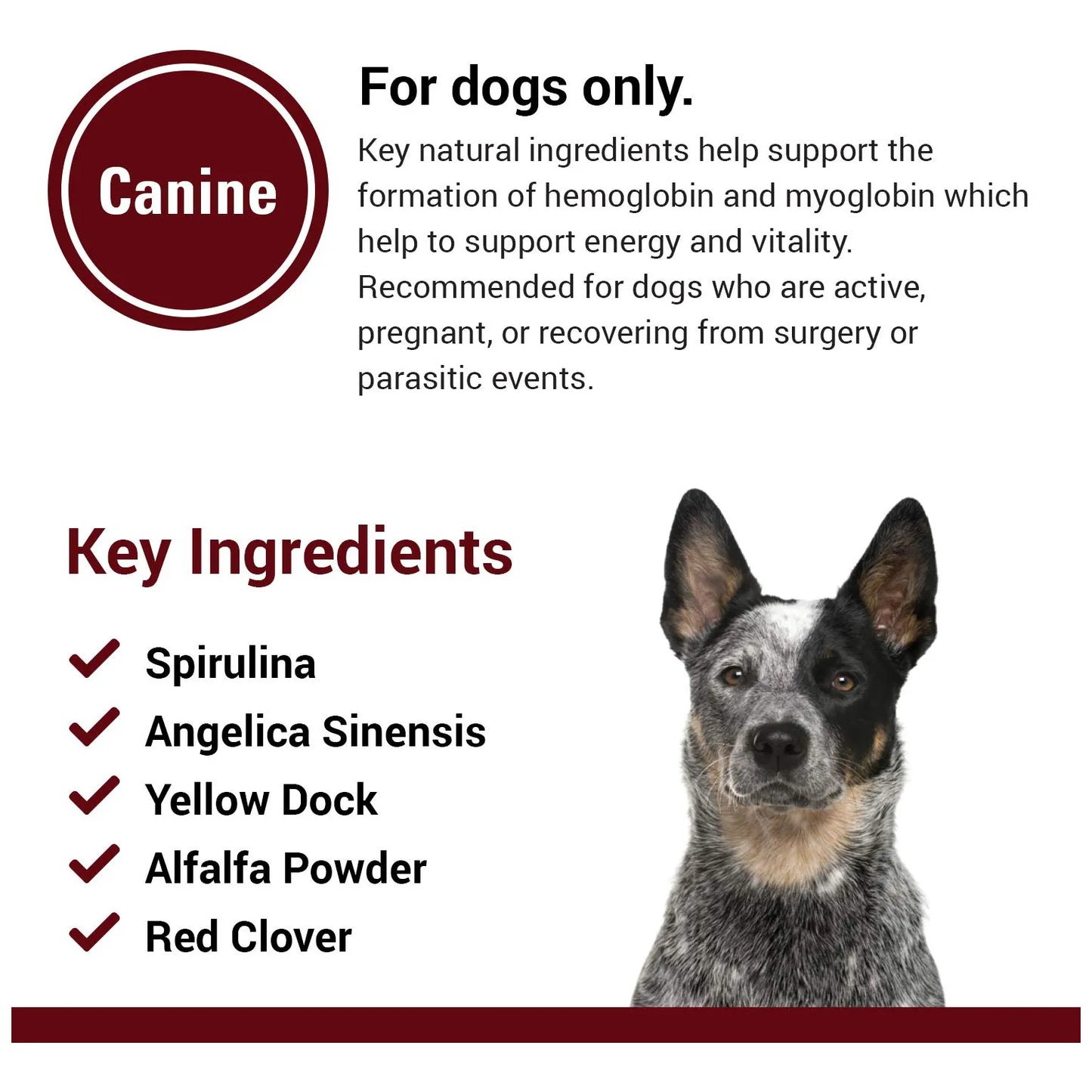 Soporte Energético Y Sanguíneo Para Perros Con Espirulina 120 Tabletas Masticables