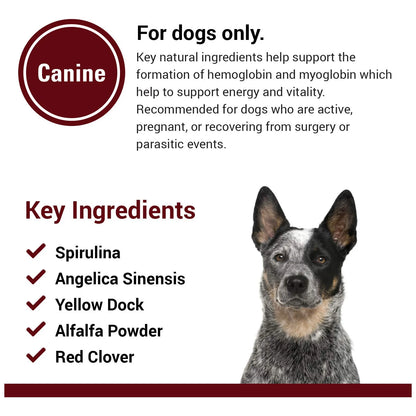 Soporte Energético Y Sanguíneo Para Perros Con Espirulina 120 Tabletas Masticables