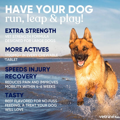 Suplemento Articular Perros Grandes Tabletas Masticables Con Glucosamina Condroitina MSM