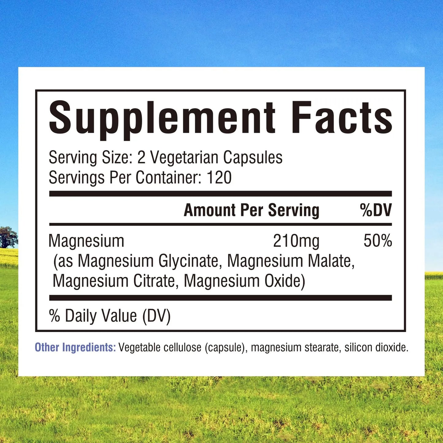 Complejo De Magnesio 4 En 1 Para Energía Músculos Huesos Y Nervios 240 Cápsulas Vegano Sin Gluten