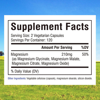 Complejo De Magnesio 4 En 1 Para Energía Músculos Huesos Y Nervios 240 Cápsulas Vegano Sin Gluten