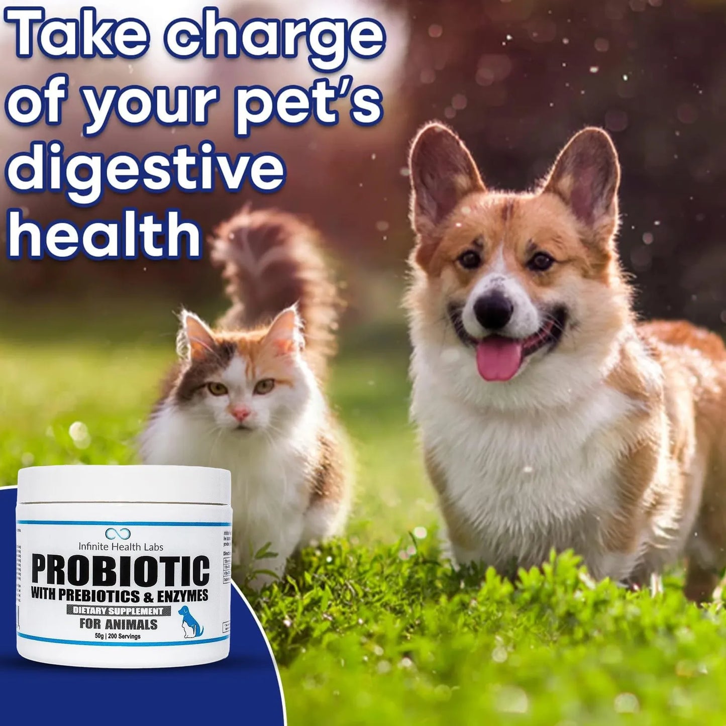 Probióticos En Polvo Para Perros Y Gatos Formulados Por Veterinarios Salud Digestiva E Inmunológica