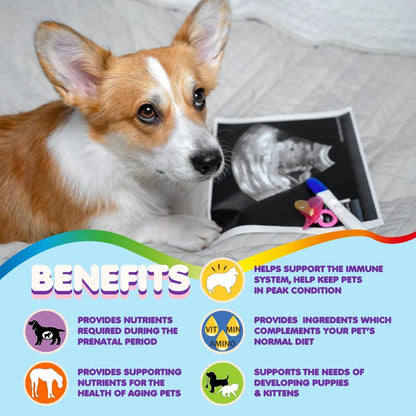 Vitaminas Prenatales Multivitaminico Para Perros Y Gatos Con Acido Folico Y Minerales