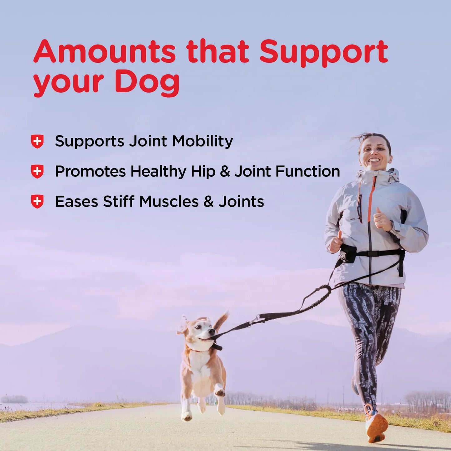 Galletas Sabor Glucosamina Para Cadera Y Articulaciones De Perros NutriVet