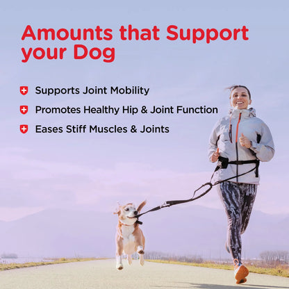 Galletas Sabor Glucosamina Para Cadera Y Articulaciones De Perros NutriVet