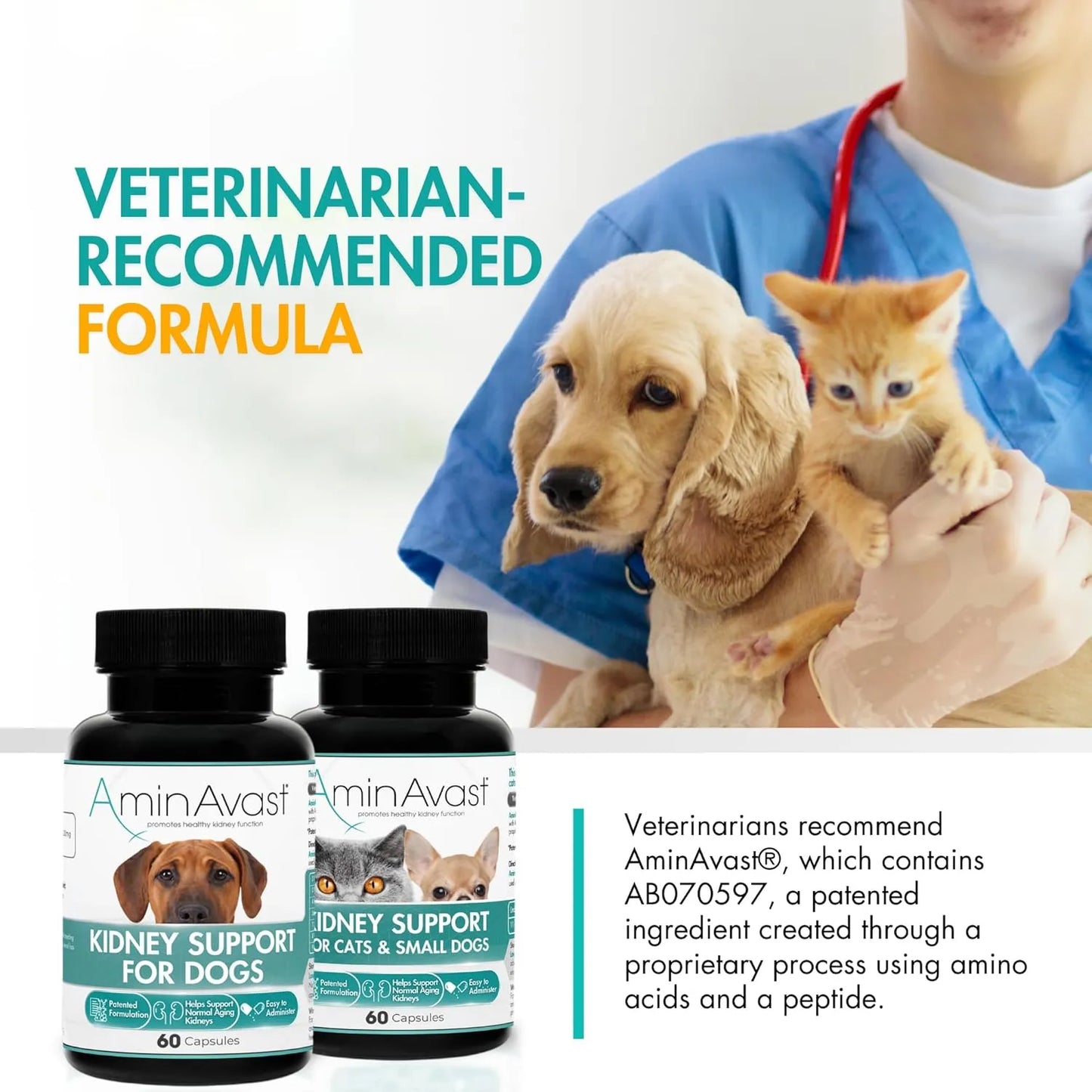 Capsulas AminAvast 1000 Mg Para Riñones De Perros Y Gatos Funcion Renal
