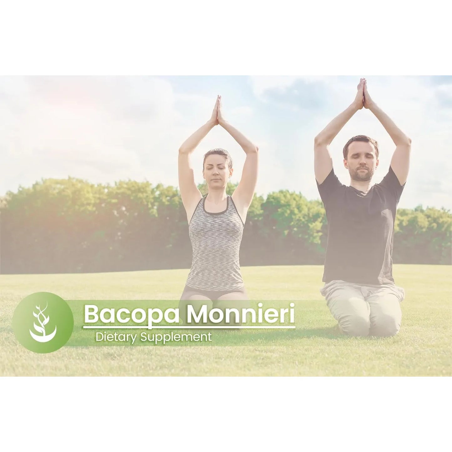 Bacopa Monnieri 100 Cápsulas Pura Sin Aditivos Apoyo Cognitivo Y Memoria