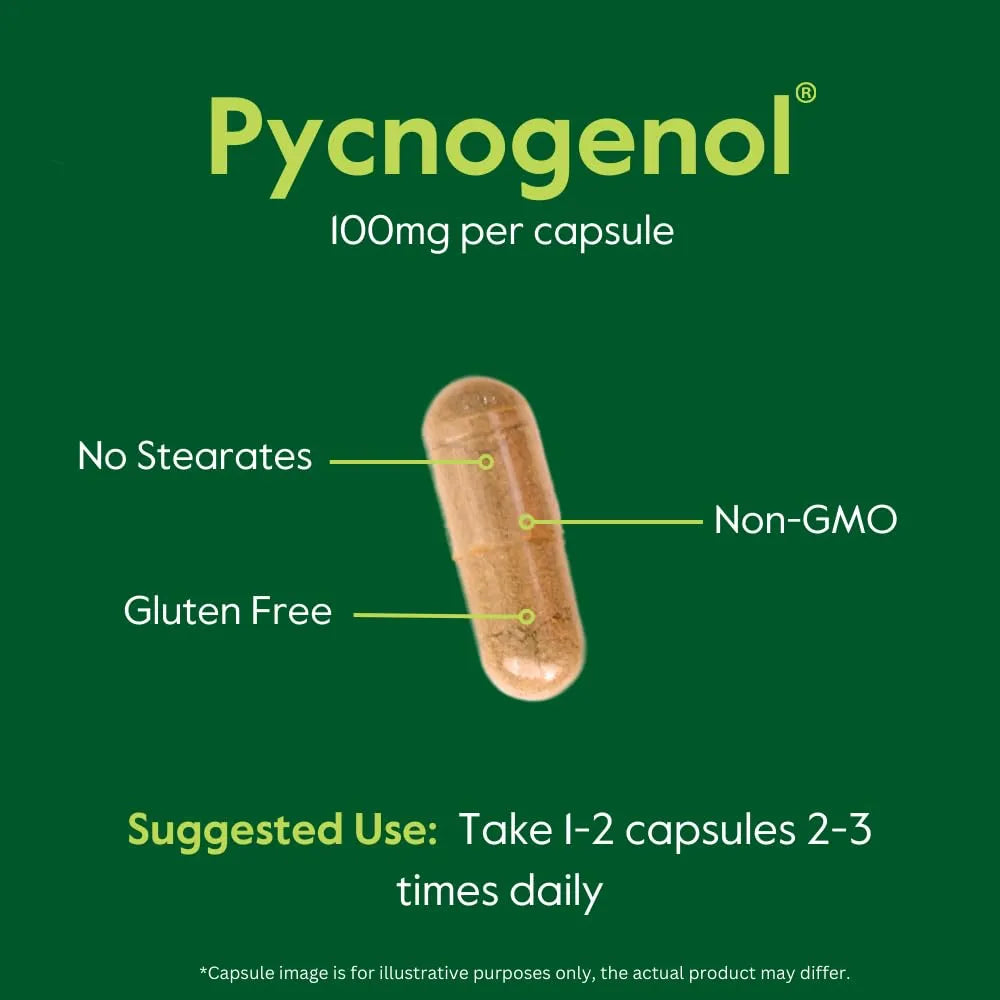 Pycnogenol 100 Mg 60 Cápsulas Extracto Corteza Pino Marítimo Francés Antioxidante