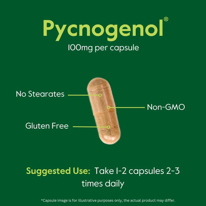 Pycnogenol 100 Mg 60 Cápsulas Extracto Corteza Pino Marítimo Francés Antioxidante
