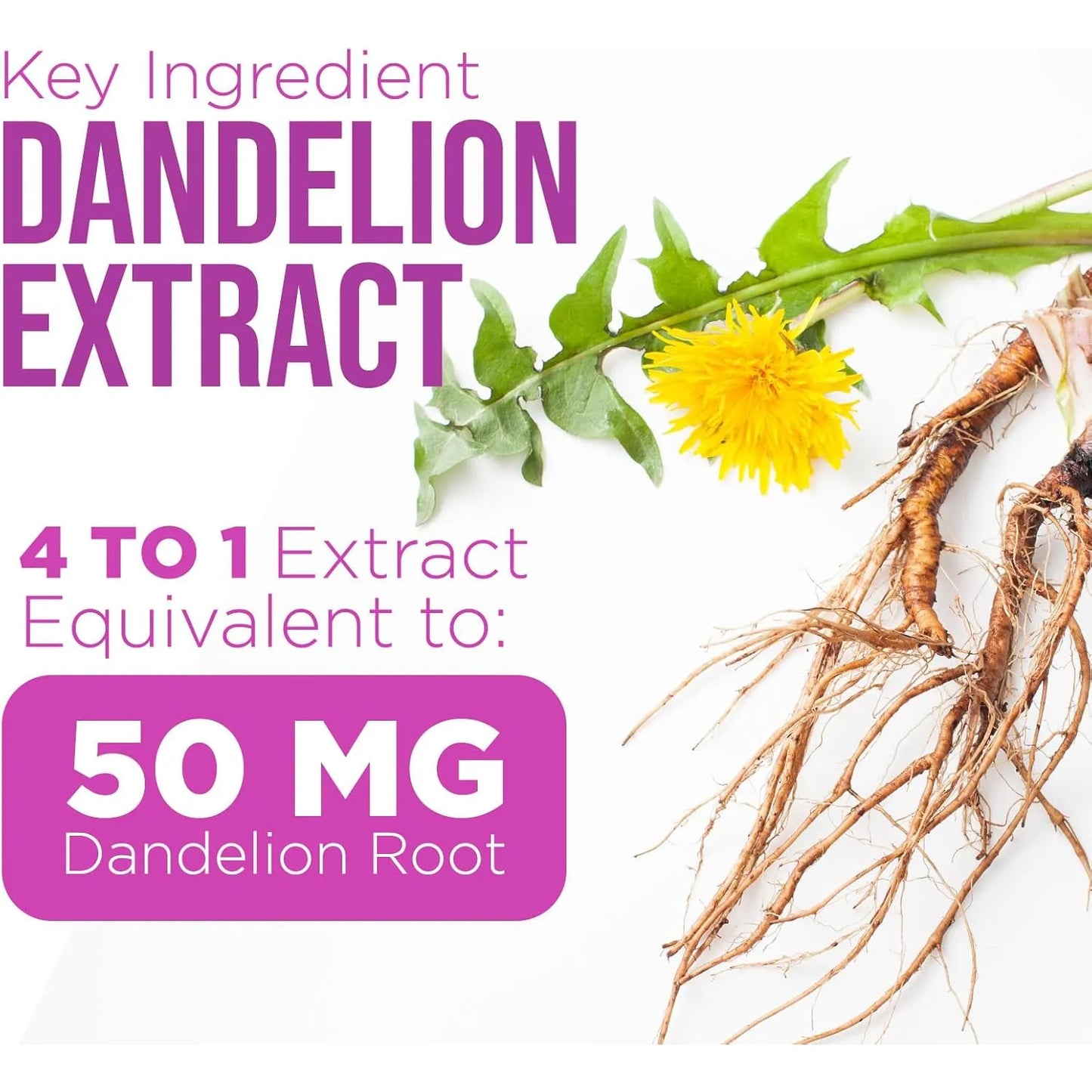 Extracto De Cardo Mariano Y Diente De León 1000 Mg Suplemento Hepático Natural