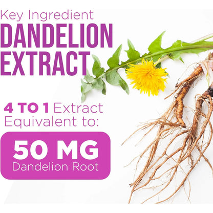 Extracto De Cardo Mariano Y Diente De León 1000 Mg Suplemento Hepático Natural