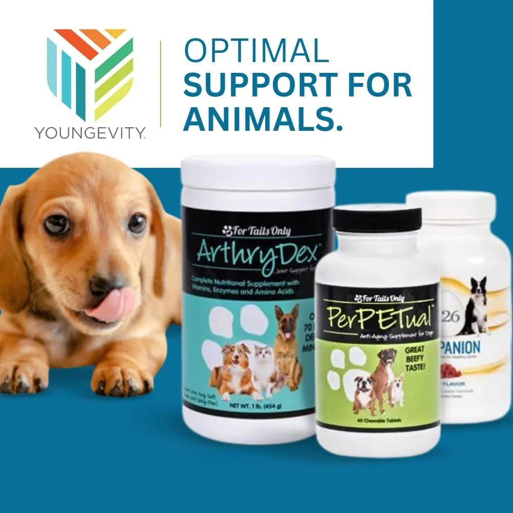 Nutricion Masticable Para Perros I26 Cachorros Y Adultos 60 Tabletas Sabor Carne
