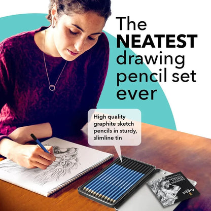 Kit De Lápices De Dibujo Grafito 12 Piezas Para Artistas Caja Metal
