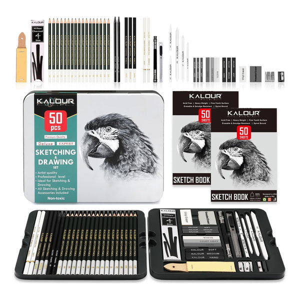 Kit Profesional De 52 Lápices De Dibujo Con Cuadernos Y Accesorios Para Artistas