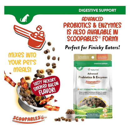 Probióticos Y Enzimas Masticables Para Perros Mejora Digestión Y Salud Intestinal