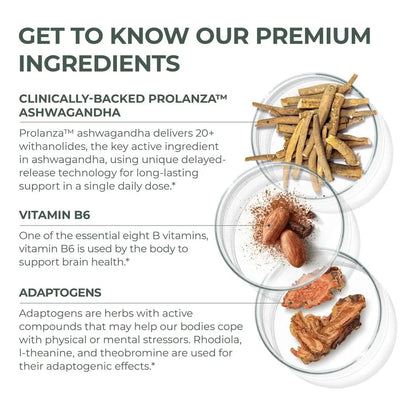 Suplemento Natural Para Aliviar El Estrés Con Ashwagandha Y LTeanina 30 Cápsulas