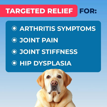 Masticables Glucosamina Para Perros Con Omega 3 Y Condroitina Alivia Dolor Articular
