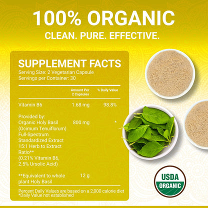 Capsulas Organicas De Albahaca Sagrada Con Vitamina B6 Y Acido Ursolico 25