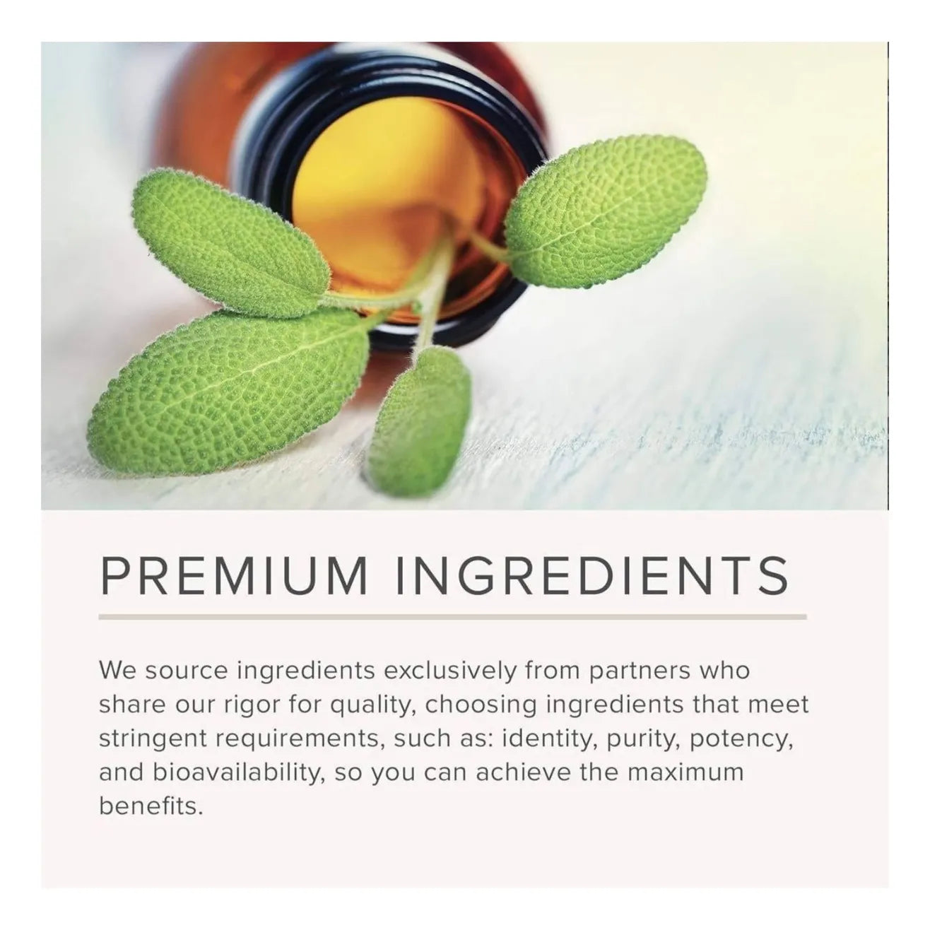 Suplemento Nussuplemento Nusapure Nicotinamide 500mg Con Resveratrol 180 Cápsulas Veganas Salud Piel Energíaapure Nicotinamid - Imagen 6
