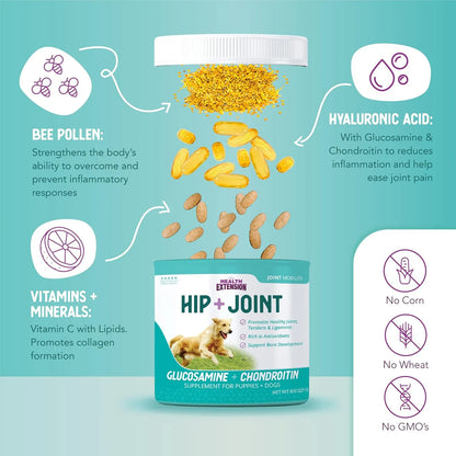 Polvo Con Sabor A Queso Para Perros Con Glucosamina Y Condro Alivia Dolor Articulaciones