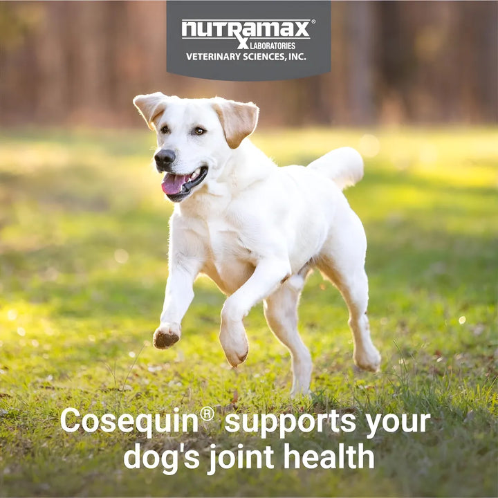 Cosequin Nutramax Suplemento Articulaciones Perros 60 Tablet - Imagen 10