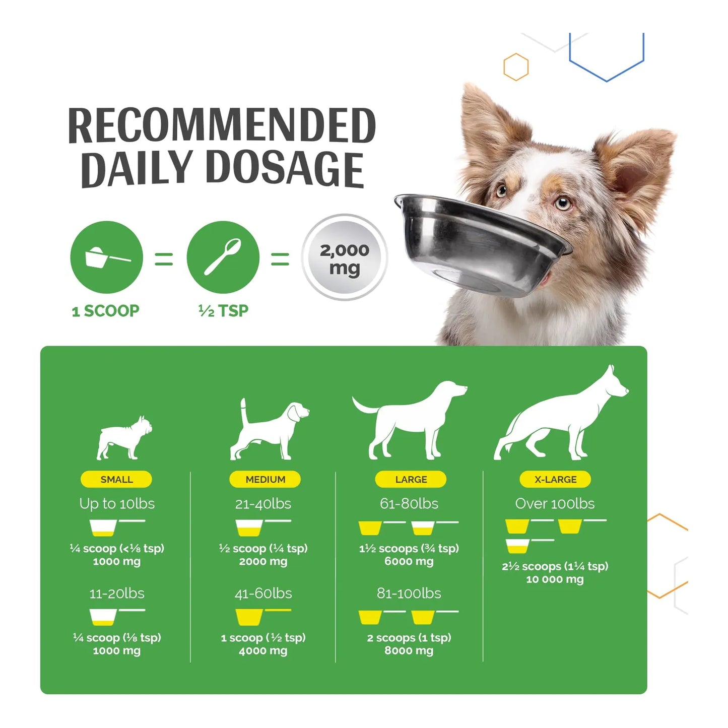 MSM Polvo Refuerzo Articulaciones Perros Movilidad Flexibilidad Antiinflamatorio Natural