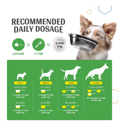 MSM Polvo Refuerzo Articulaciones Perros Movilidad Flexibilidad Antiinflamatorio Natural