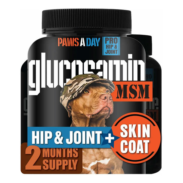 Glucosamina Para Perros Cuidado Articulaciones Mejora Piel Y Pelaje