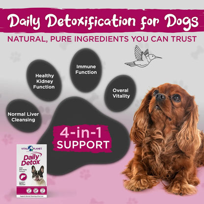 Desintoxicación Diaria Para Perros Con MSM Cardo Mariano Y Espirulina 60 Tabletas Masticables