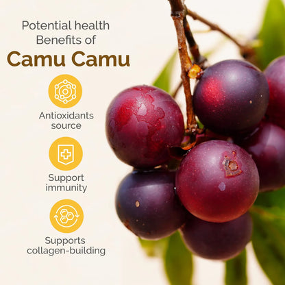 Polvo Orgánico De Camu Camu Superalimento Fuente De Antioxidantes Vitamina C