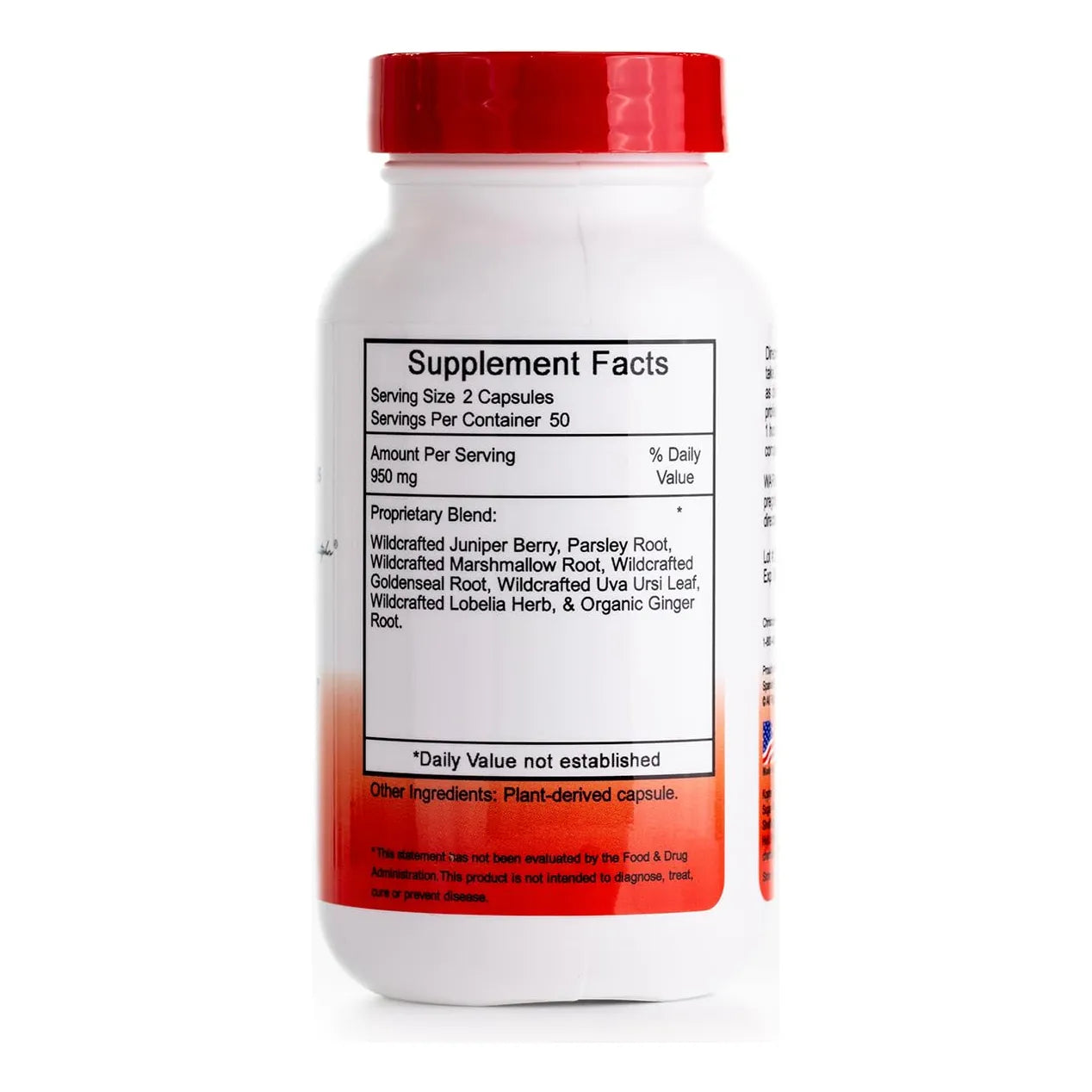 Capsulas Dr Christopher Renal 100 Unidades Paquete De 3 Importado Eeuu