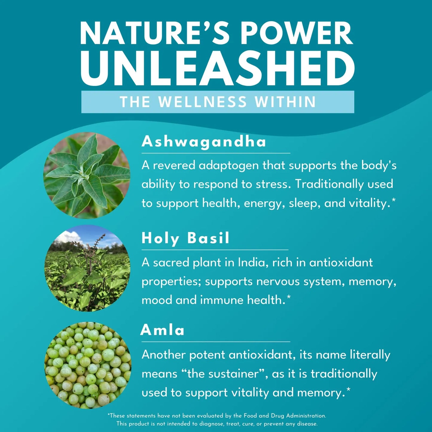 Ashwagandha Plus Suplemento Para Estrés Memoria Energía Vegano
