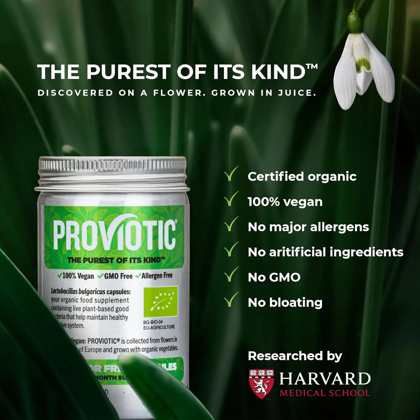 Lactobacillus Probiótico Vegano Salud Digestiva E Inmunidad 30 Cápsulas