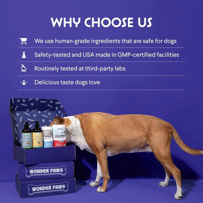 Aceite De Salmon Para Perros Omega 3 6 Epa Dha Piel Y Pelaje Saludable