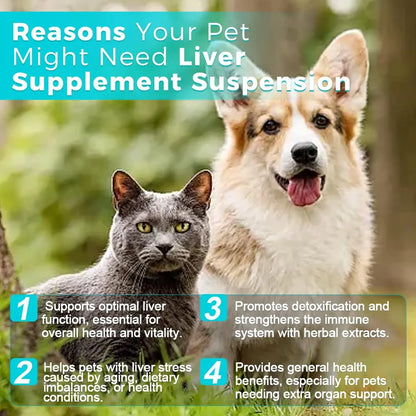 Suspensión Herbal Apoyo Hepático Para Gatos Y Perros 30 Ml Desintoxica Y Revitaliza