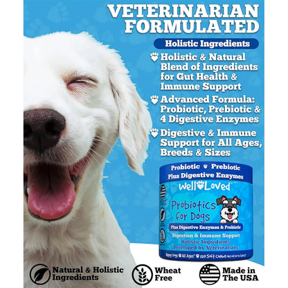 Masticables Probióticos Y Enzimas Digestivas Para Perros Salud Intestinal