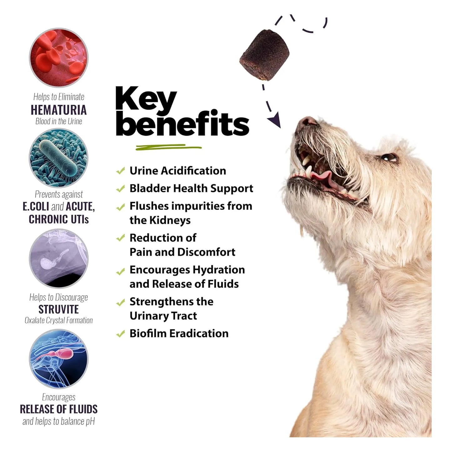 Tratamiento Masticable UroMAXX Para Infeccion Urinaria En Perros Sabor Pollo Natural