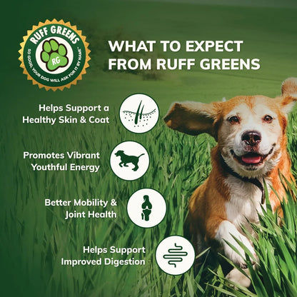 Suplemento En Polvo Para Perros Con Probióticos Y Enzimas Digestivas Mejora Articulaciones Y Digestión