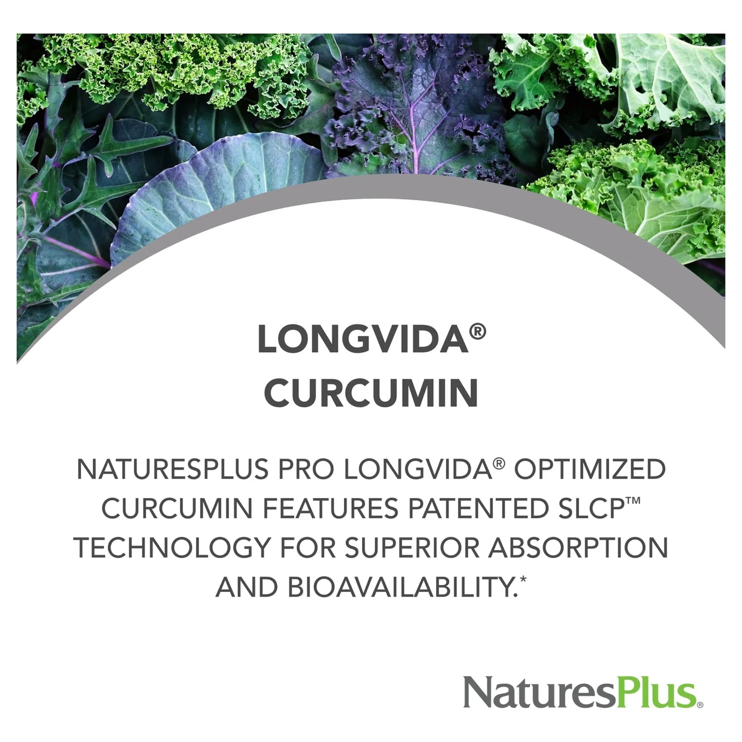 Pastillas De Curcumina Pro Longvida 60 Unidades Antioxidante Vegano Sin Gluten