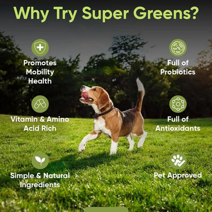 Polvo De Verduras Para Perros Con Brotes De Brócoli Espirulina Suplemento Nutritivo