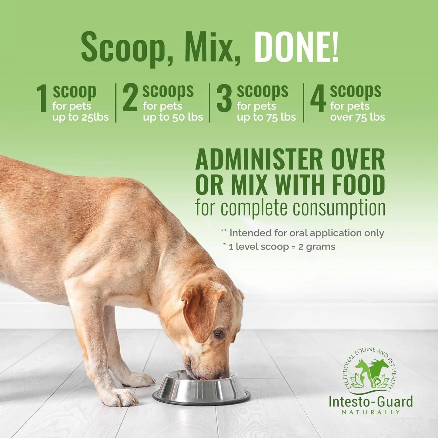 Probiótico En Polvo Para Perros Y Gatos Intesto Guard Apoyo Inmunológico Y Digestivo