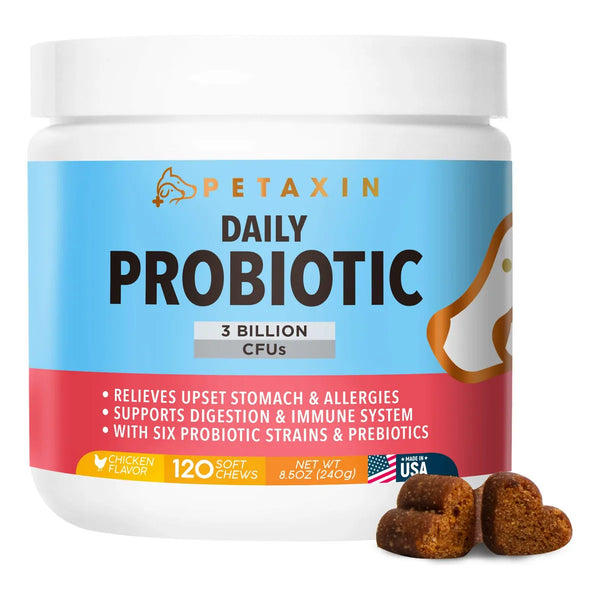 Probióticos Para Perros 6 Cepas Con Prebióticos Apoyo Digestivo E Inmunológico