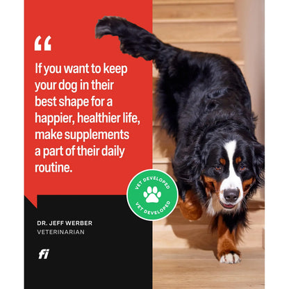 Suplemento Para Articulaciones Caninas Con Glucosamina Y Condroitina Alivia Dolor Y Rigidez